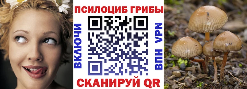 Галлюциногенные грибы GOLDEN TEACHER  Терек 